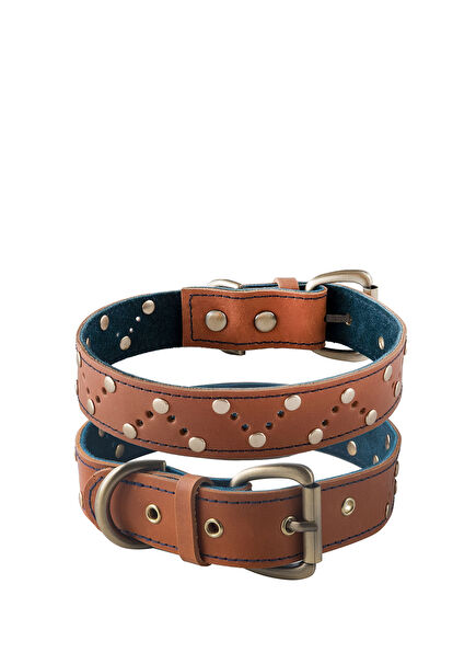 Taba Deri Köpek Boyun Tasması