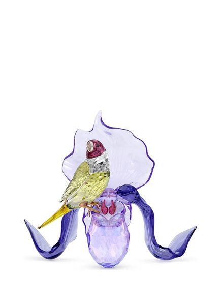 Idyllia Gouldian Finch And Orchid Glass Decorative Object