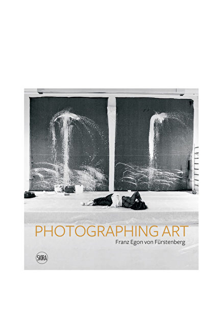 Photographing Art Foreign Language Art Book