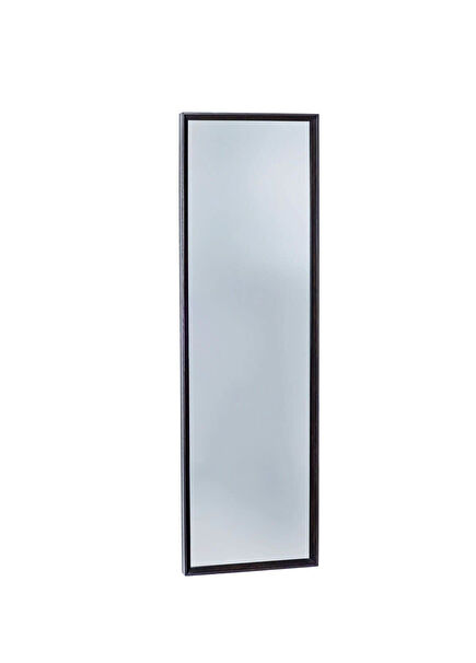 Regular Series Dark Wood Framed Smoked Full-Length Mirror