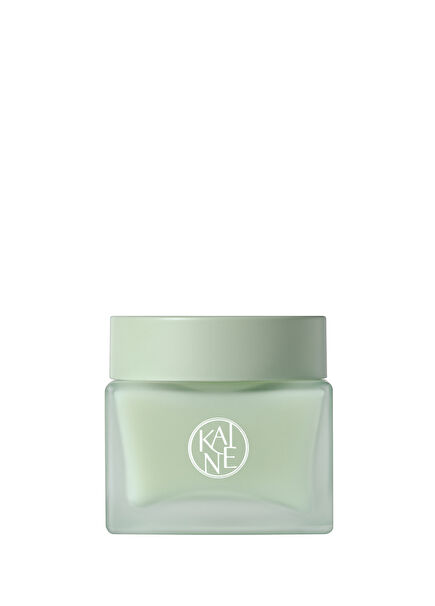 Green Calm Aqua Cream Barrier Supportive Face Cream with Green Tea and Mugwort 70 gr