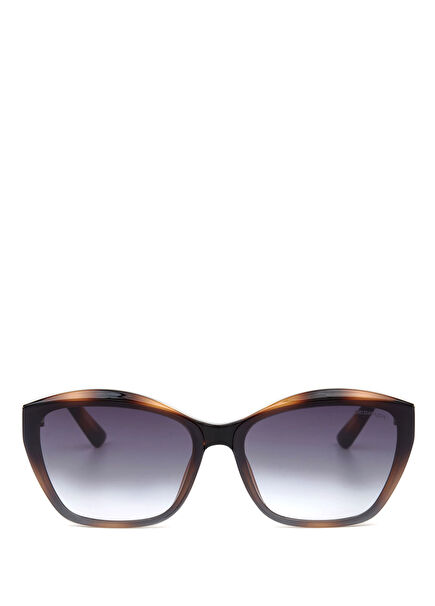 DS 2307 C2 Glossy Havana Acetate Women's Sunglasses