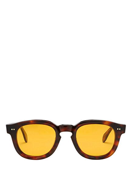 50 T006S Titanboa Kahverengi Asetat Erkek Güneş Gözlüğü