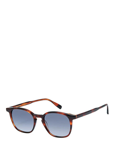 Lewis GS2006 20 Havana Asetat Unisex Güneş Gözlüğü