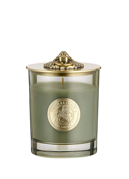 Pen Posh Home Lion Candle Lid