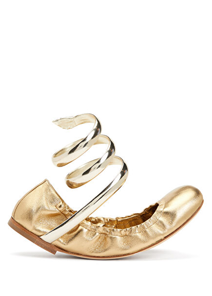 Gold Bantlı Babet
