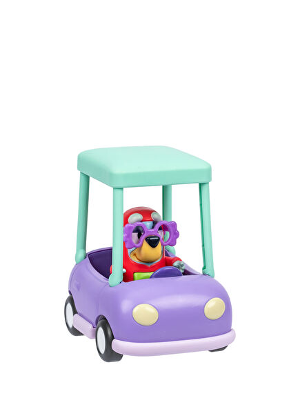 Büyükannenin Arabası ve Janet Figürü 18924