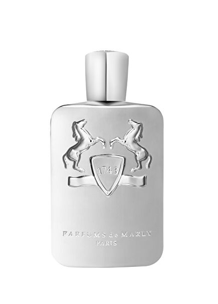 Pegasus EDP 200 ml Unisex Parfüm