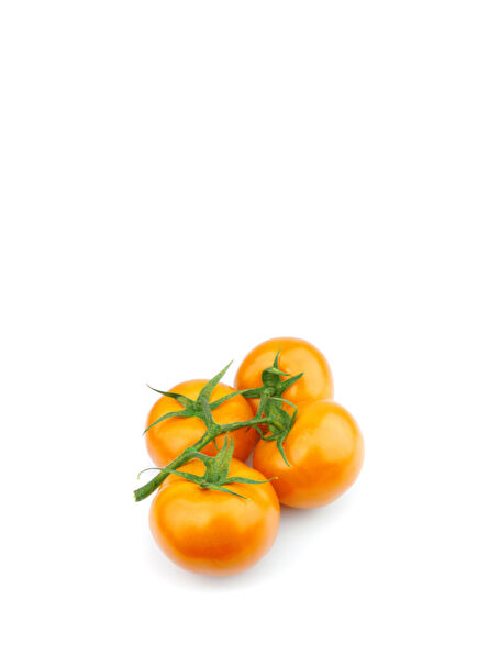 Hobby Gardening Gold Cherry Tomato Kit
