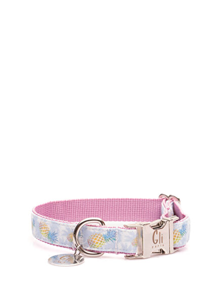 Pina Köpek Boyun Tasması