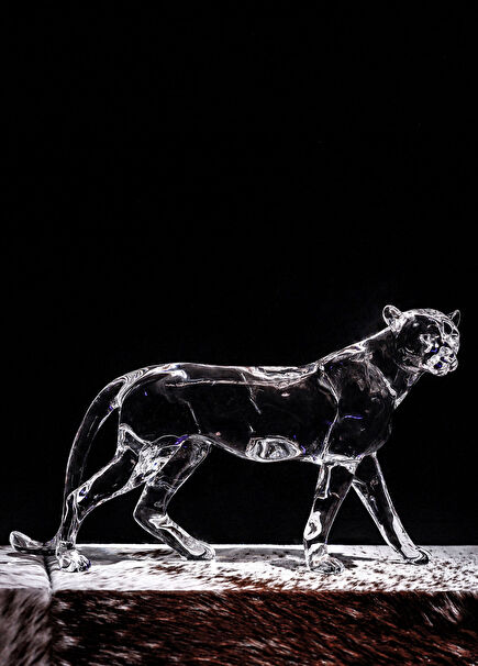 Panther Transparent Object
