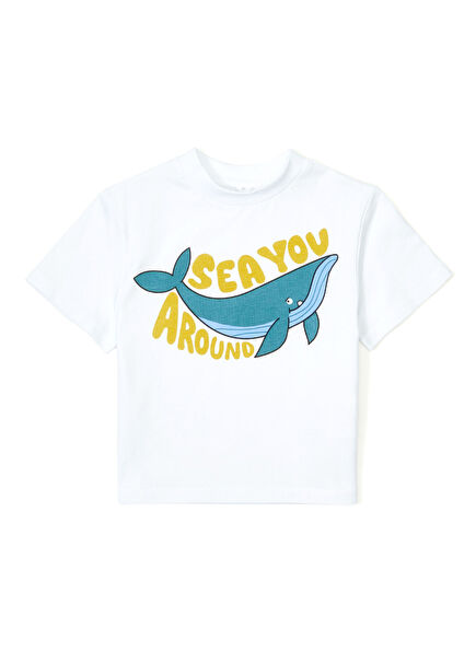 Çok Renkli Erkek Çocuk T-shirt