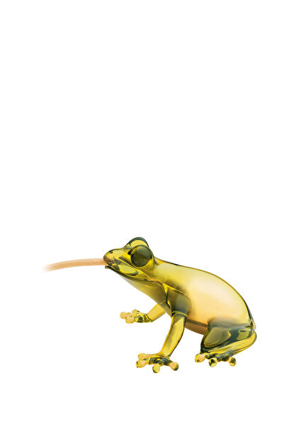 Sarı Kurbağa Masaüstü Aydınlatması