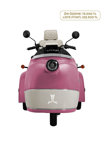 Electric Dried Rose Moped Motorcycle