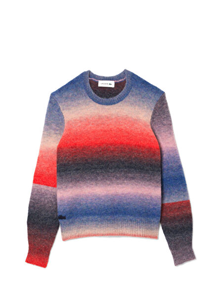 Renkli Desenli Regular Fit Bisiklet Yaka Uzun Kollu Kadın Kazak