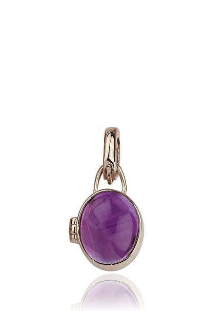 Gem Ametist Locket 14 Ayar Altın Kadın Charm