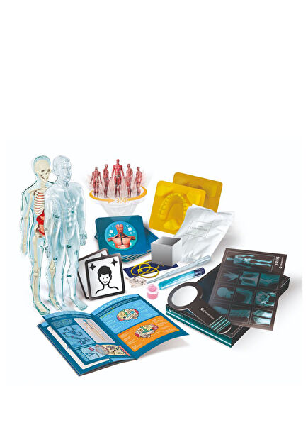 Super Anatomy Science and Game