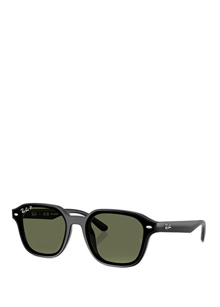 RB4458D Black Unisex Sunglasses