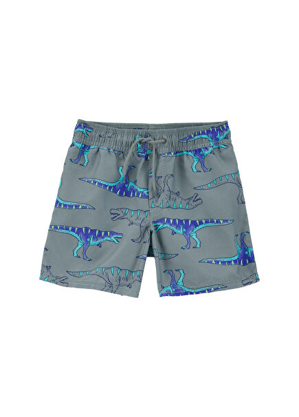 Grey Dinosaur Printed Boys' Shorts Swimsuit