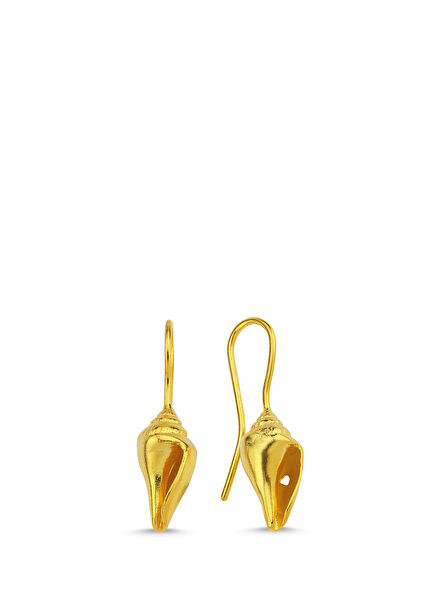 Conch Seashell Women's Gold Plated Earrings