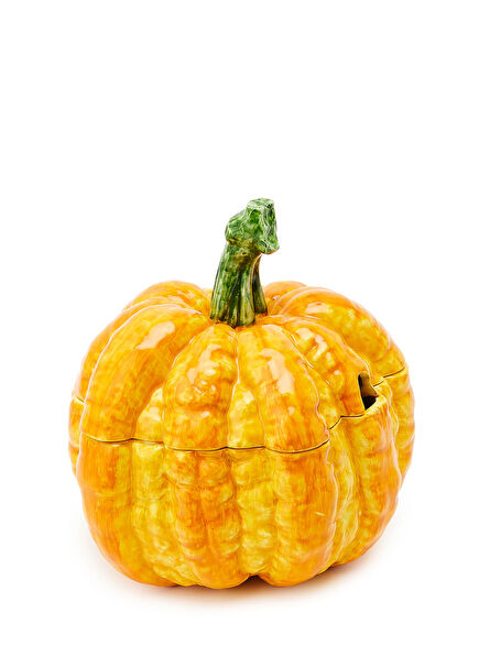 Turuncu Bal Kabağı Formlu Tencere