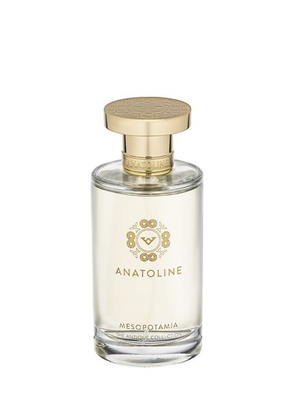 Mesopotamia EDP 100 ml Women's Perfume