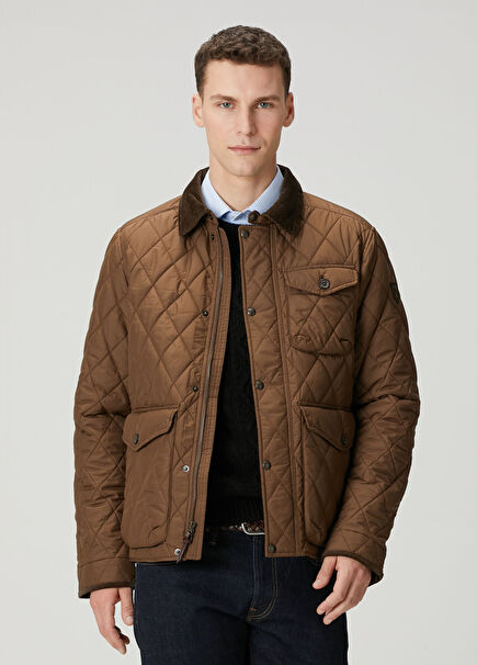 Kahverengi Kapitoneli Mont