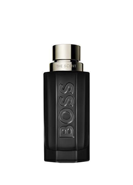 The Scent Magnetic EDP 100 ml Men's Perfume