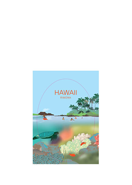 Hawaii Sticker