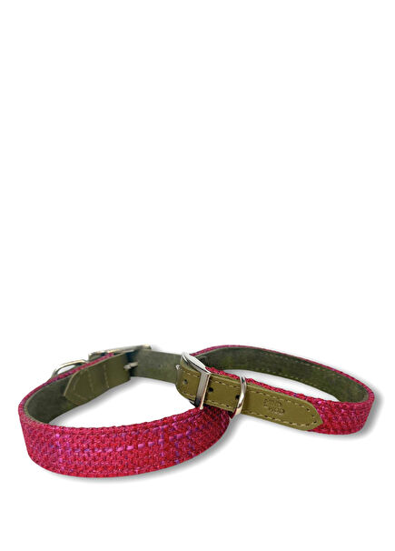 Splendid Fuchsia Köpek Köpek Boyun Tasması