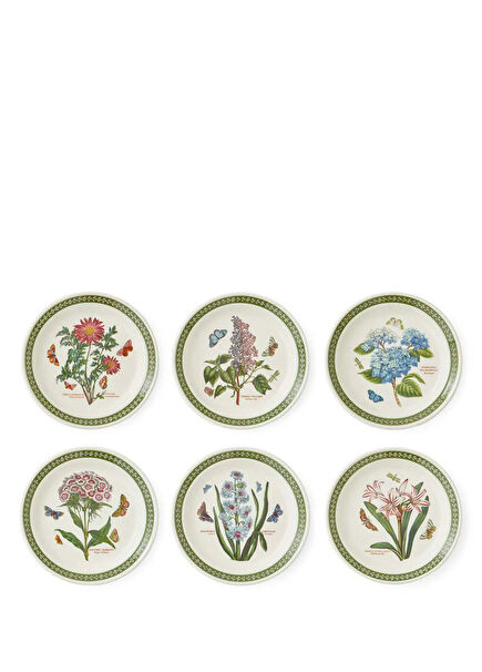 Botanic Garden Etchings Desenli Seramik 6'lı Pasta Tabağı Seti