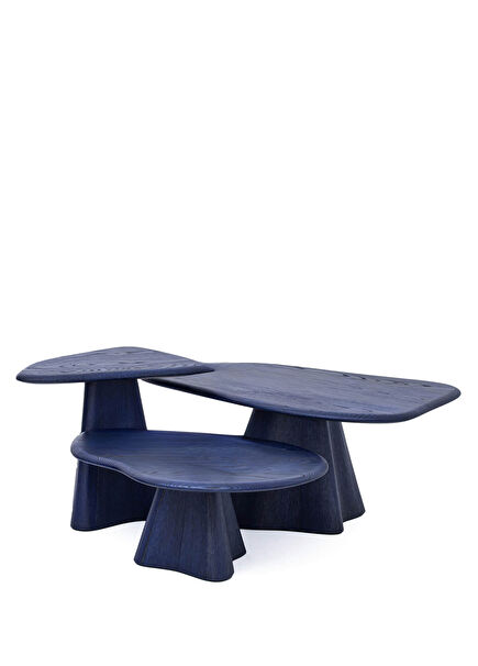 Organic Series Navy Blue Solid Wood 3-Piece Coffee Table Set