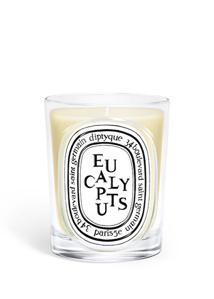 Classic Candle Eucalyptus 190g