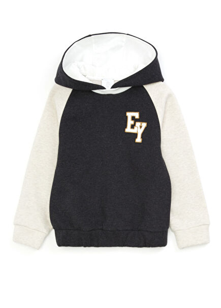 Boys' Grey Beige Sweatshirt