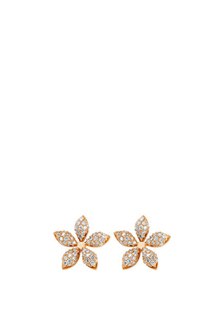 Apple Seed Women's Gold Earrings