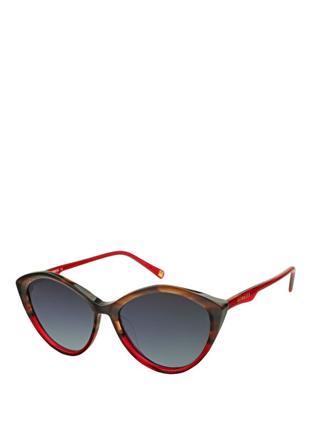 Hm 1384 C 3 Renkli Asetat Kadın Güneş Gözlüğü