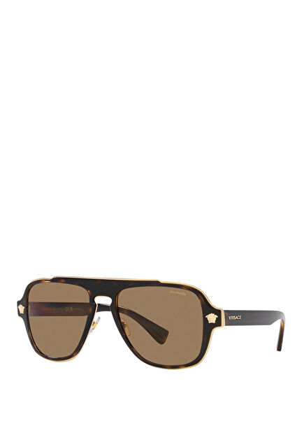 Brown Men's Sunglasses