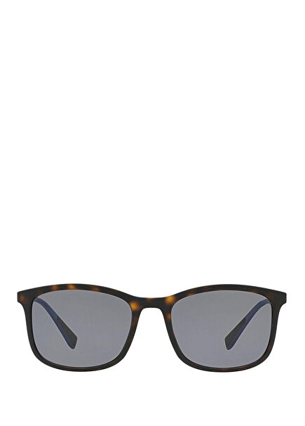 PS 01TS Brown Men's Sunglasses