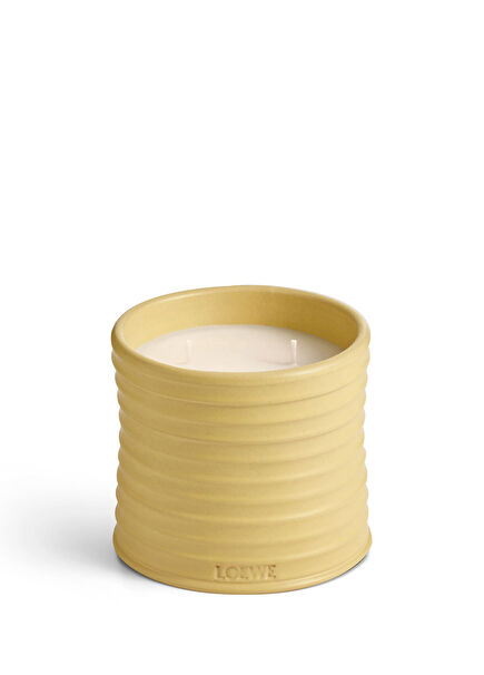 Honeysuckle Medium 610 gr Mum