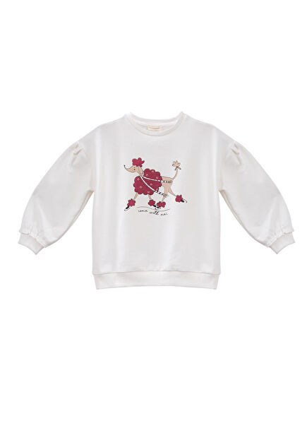 Skasar Glitter Printed Girls' Sweatshirt