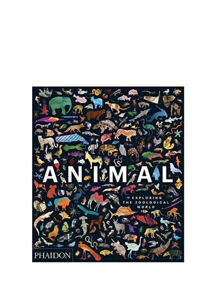 Animal Exploring the Zoological World Foreign Language Book