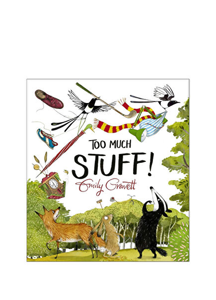 Too Much Stuff Çocuk Yabancı Dil Kitabı