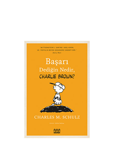 Başarı Dediğin Nedir, Charlie Brown?