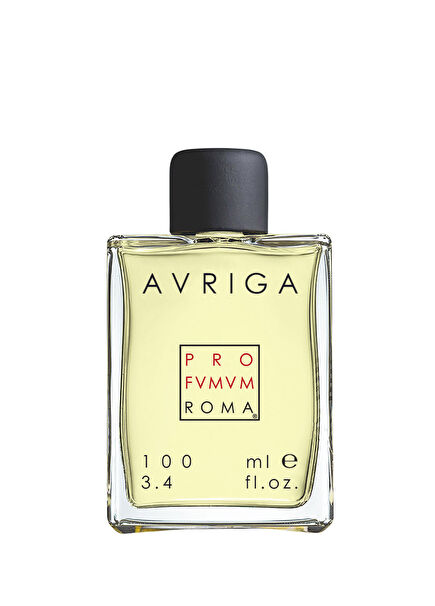 Auriga EDP 100 ml Men's Perfume