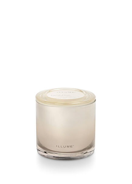 Winter White Statement Beyaz Bitkisel Mum