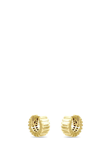 14K Gold Dished Fence Women's Earrings