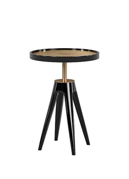 Vita Black Gold Detailed Wooden Side Table