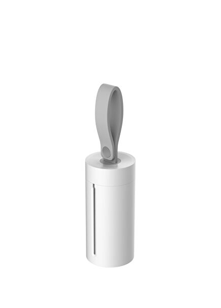 Waste Bag Carrying Apparatus
