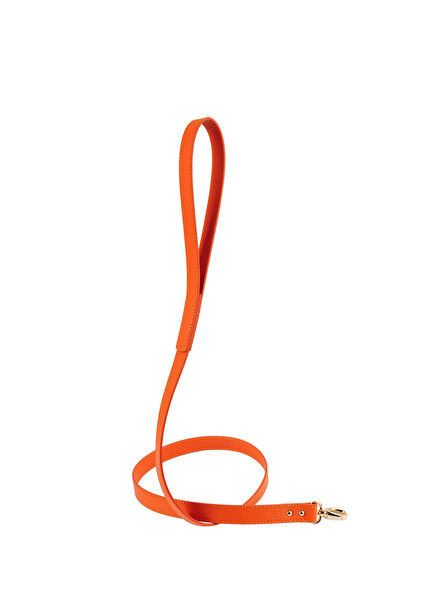 Balley Orange Dog Leash