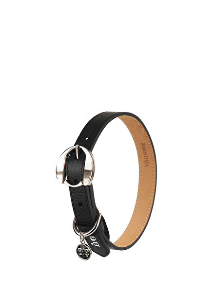 Hachiko Black Dog Collar